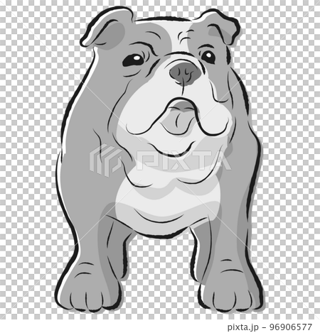 シンプルでかわいいブルドッグ 手描き線画ベクターイラスト(白黒) シンプルでかわいいブルドッグ 手描き線画ベクターイラスト(白黒) 96906577