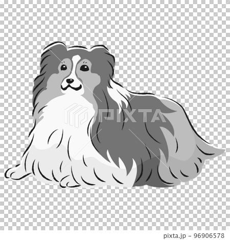 シンプルでかわいいシェットランドシープドッグ 手描き線画ベクターイラスト(白黒) シンプルでかわいいシェットランドシープドッグ 手描き線画ベクターイラスト(白黒) 96906578