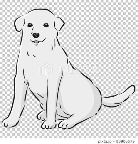 シンプルでかわいいラブラドールレトリバー 手描き線画ベクターイラスト(白黒) シンプルでかわいいラブラドールレトリバー 手描き線画ベクターイラスト(白黒) 96906579