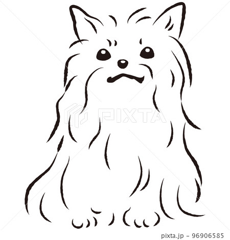 ヨークシャーテリア】手描きイラスト 原画 《1298》（ヨークシャー  