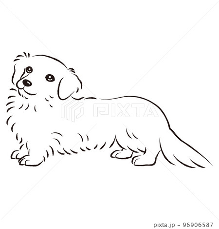 シンプルでかわいいミニチュアダックスフント 手描き線画ベクターイラスト(白黒) シンプルでかわいいミニチュアダックスフント 手描き線画ベクターイラスト(白黒) 96906587