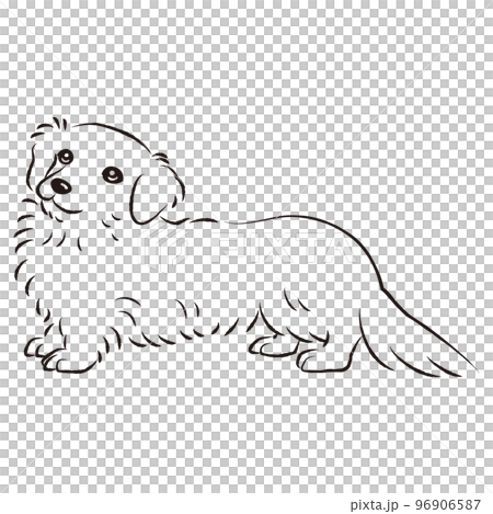 簡單可愛的微型臘腸犬手繪線描矢量圖（黑白） 96906587