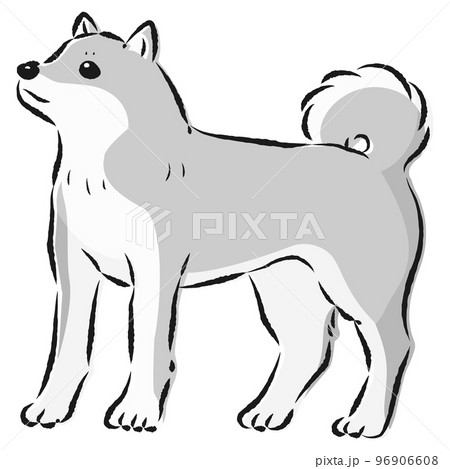 シンプルでかわいい柴犬 手描き線画ベクターイラスト（白黒）のイラスト素材 [96906608] - PIXTA