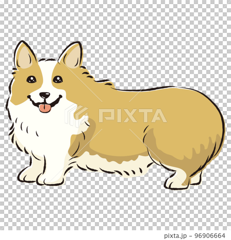 簡單可愛的柯基犬手繪線描矢量圖解 簡單可愛的柯基犬手繪線描矢量圖解 96906664