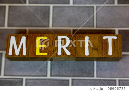 文字ブロック　MERIT メリット 96906725