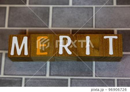 文字ブロック　MERIT メリット 96906726