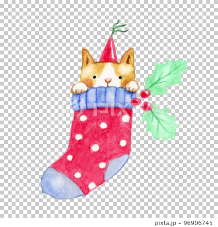 聖誕禮物襪子裡的貓【手繪水彩畫】 96906745