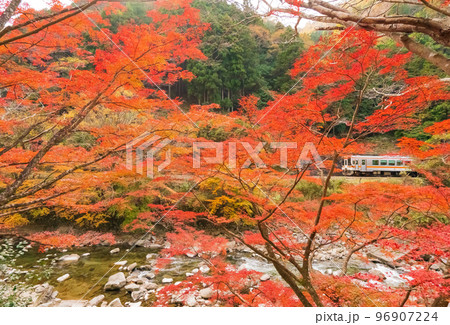 JR名松線と紅葉 96907224
