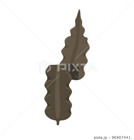 昆布のベクターイラスト。 96907441