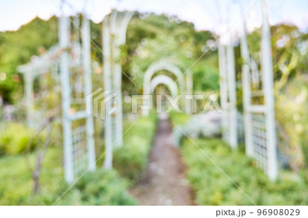 庭の小径　ボケた風景の背景素材 96908029