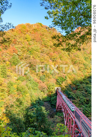 秋の黒部峡谷 新山彦橋とトロッコ電車 富山県黒部市 秋の黒部峡谷 新山彦橋とトロッコ電車 富山県黒部市 96908076