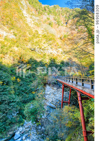 秋の黒部峡谷 名剣橋 富山県黒部市 秋の黒部峡谷 名剣橋 富山県黒部市 96908309