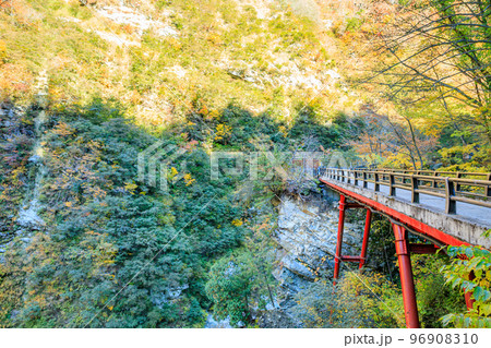 秋の黒部峡谷 名剣橋 富山県黒部市 秋の黒部峡谷 名剣橋 富山県黒部市 96908310