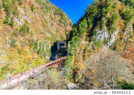 秋の黒部峡谷　奥鐘橋　富山県黒部市 96908323