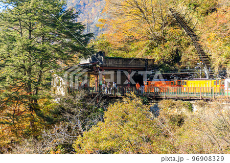 秋の黒部峡谷　黒薙駅とトロッコ電車　富山県黒部市 96908329
