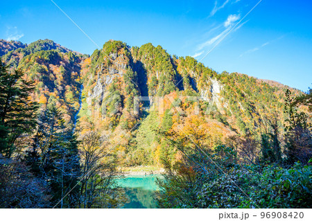 秋の黒部峡谷　トロッコ電車から見た出し六峰　富山県黒部市 96908420