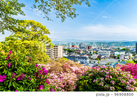 阿蘇の山並みと街並みを背景に神社のツツジ花「日吉神社」熊本県菊池郡大津町 96908800