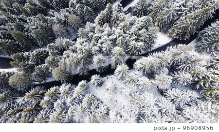 Aerial view of mountain road among the trees in winter forest. Aerial view of mountain road among the trees in winter forest. 96908956