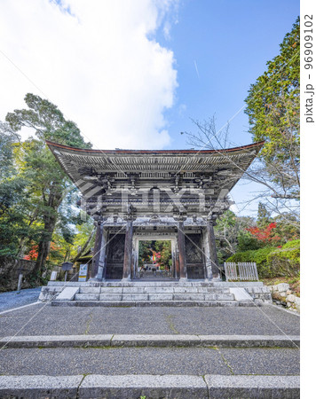 天台寺門宗総本山 三井寺(園城寺)仁王門 天台寺門宗総本山 三井寺(園城寺)仁王門 96909102
