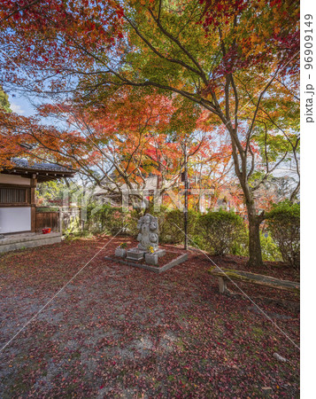 天台寺門宗総本山　三井寺（園城寺）境内の石仏と紅葉 96909149