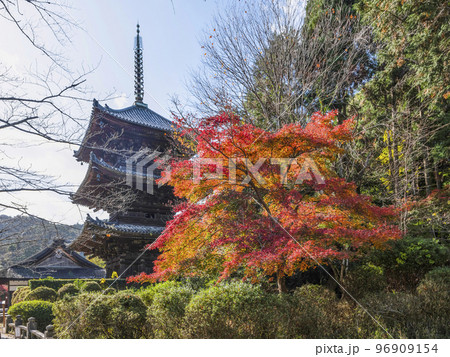 天台寺門宗総本山　三井寺（園城寺）三重塔と紅葉 96909154