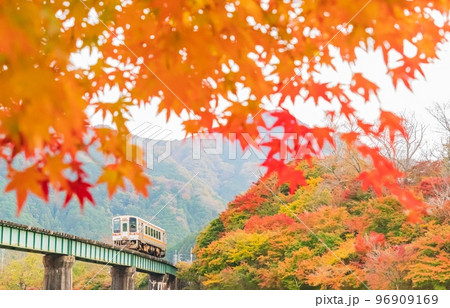 JR名松線と紅葉 JR名松線と紅葉 96909169