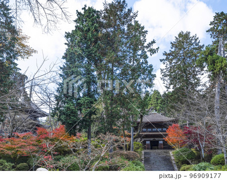 天台寺門宗総本山 三井寺(園城寺)境内 天台寺門宗総本山 三井寺(園城寺)境内 96909177