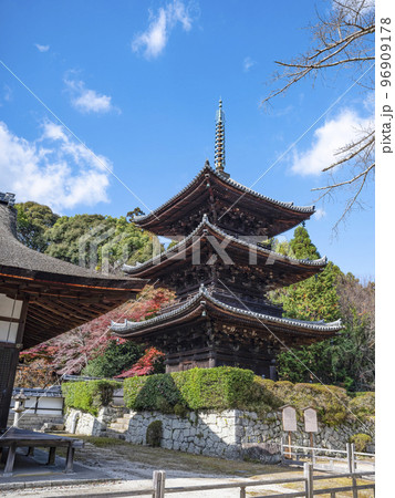 天台寺門宗総本山 三井寺(園城寺)三重塔 天台寺門宗総本山 三井寺(園城寺)三重塔 96909178