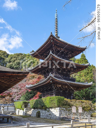 天台寺門宗総本山 三井寺(園城寺)三重塔 天台寺門宗総本山 三井寺(園城寺)三重塔 96909179