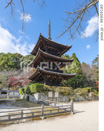 天台寺門宗総本山 三井寺(園城寺)三重塔 天台寺門宗総本山 三井寺(園城寺)三重塔 96909180