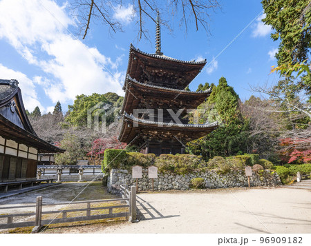 天台寺門宗総本山 三井寺(園城寺)三重塔 天台寺門宗総本山 三井寺(園城寺)三重塔 96909182