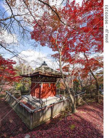 天台寺門宗総本山 三井寺(園城寺) 毘沙門堂 天台寺門宗総本山 三井寺(園城寺) 毘沙門堂 96909193