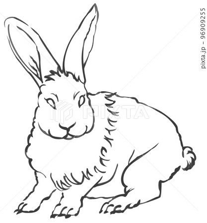 筆で描かれたウサギ 一色 墨色 他色有 パス付 背景白 96909255