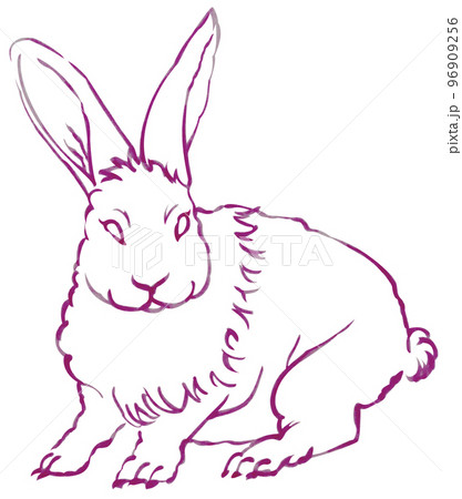 筆で描かれたウサギ 一色 墨桃色 他色有 パス付 背景白 筆で描かれたウサギ 一色 墨桃色 他色有 パス付 背景白 96909256