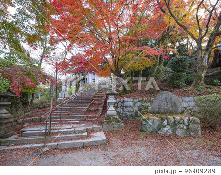 天台寺門宗総本山 三井寺(園城寺)境内の紅葉 天台寺門宗総本山 三井寺(園城寺)境内の紅葉 96909289