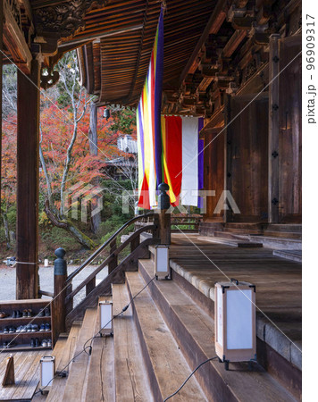 天台寺門宗総本山 三井寺(園城寺)金堂 天台寺門宗総本山 三井寺(園城寺)金堂 96909317