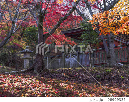 天台寺門宗総本山　三井寺（園城寺）毘沙門堂 96909325