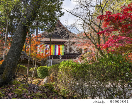 天台寺門宗総本山　三井寺（園城寺）金堂 96909341