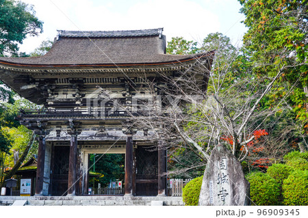 天台寺門宗総本山　三井寺（園城寺）仁王門 96909345