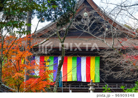 天台寺門宗総本山　三井寺（園城寺）金堂 96909348