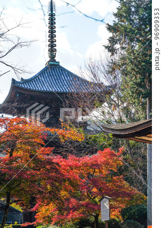 天台寺門宗総本山　三井寺（園城寺）三重塔と紅葉 96909353