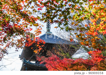 天台寺門宗総本山 三井寺(園城寺)三重塔と紅葉 天台寺門宗総本山 三井寺(園城寺)三重塔と紅葉 96909358