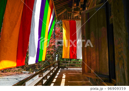 天台寺門宗総本山　三井寺（園城寺）金堂 96909359