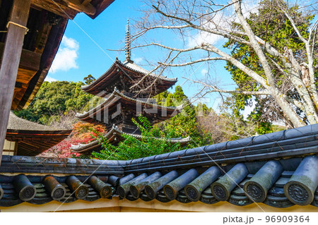 天台寺門宗総本山　三井寺（園城寺）三重塔 96909364