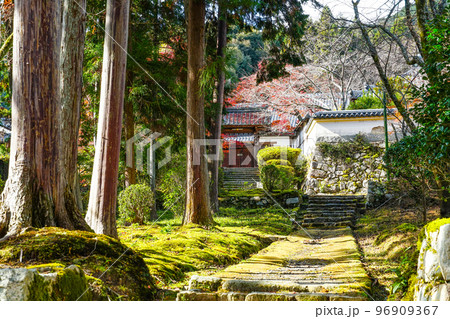 天台寺門宗総本山　三井寺（園城寺）境内 96909367