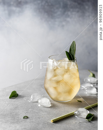 Refreshing iced cocktail with sage garnish, copy space 96909915