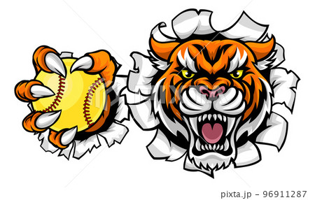 Tigers Baseball team design with head mascot Tiger holding ball. Great for  team or school mascot or t-shirts and others. Stock Vector