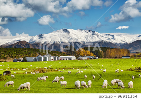 Beautiful New Zealand landscape Beautiful New Zealand landscape 96911354