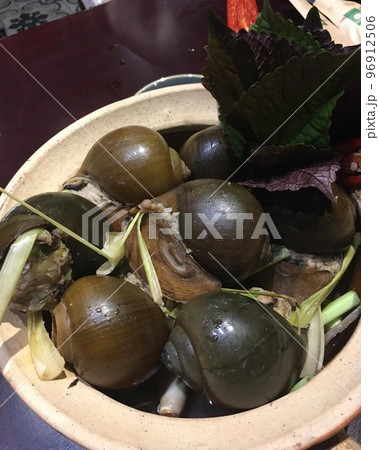 エスカルゴ　ベトナム料理 96912506