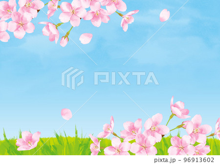 桜の水彩風イラスト　青空と野原　背景素材 96913602